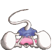 496331.gif